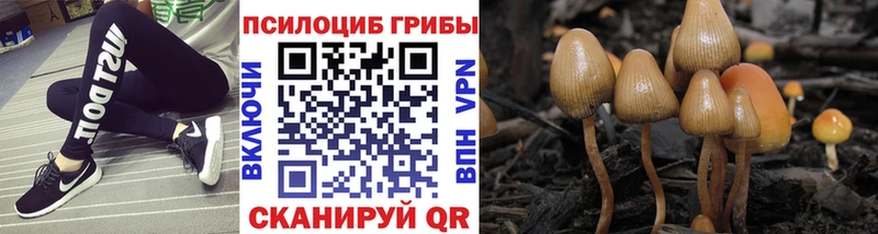 Псилоцибиновые грибы прущие грибы Майский